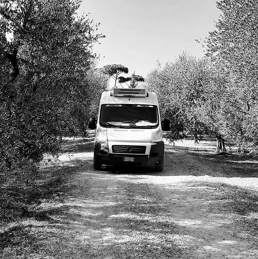 Bio Tuscia Trasporti